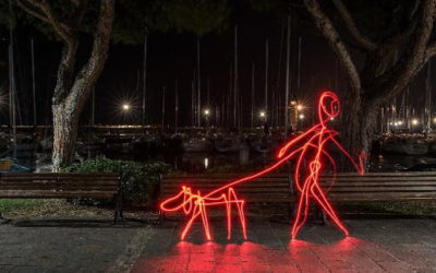 Walking Your Dog at Night